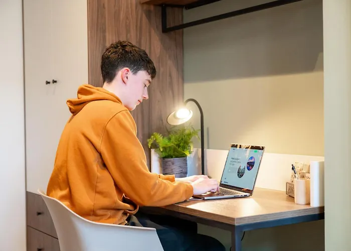 Arasian P&v In Dublin